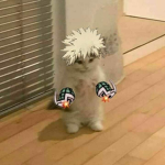 Teddy squadq
