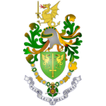 P | National Police Force