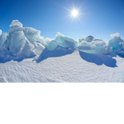 Escape arctic lands!