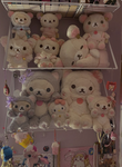 . Omari’s closet .