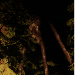 The Forest [UPDATE]