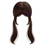 Brown Low Pigtails W/Star Clips In blue