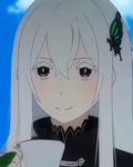 Echidna Tea Drinkers