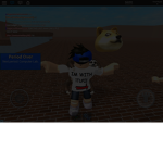 Duck group 3/R only