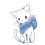 cute cat group meow