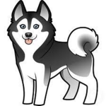 Husky Clothing!
