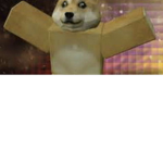 The Doge Navy Army