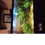 •Freshwater Fish Owners•