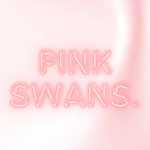 PINK SWANS.
