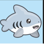 Shark clothing Shark