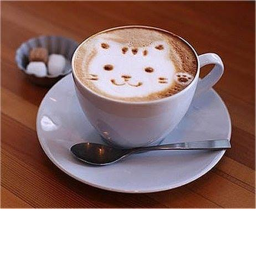 coffee shop