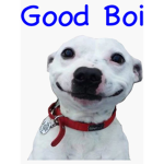 g00d b01 gr0up
