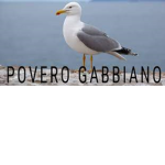 Povero Gabbiano.
