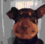 PROJECT_ISGB