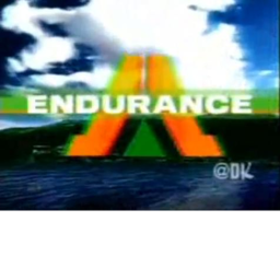 Endurance