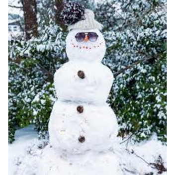 Untitled goofy snomans