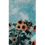 Aesthetic talk group<3