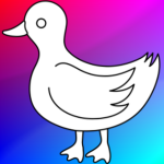 The Duck Center