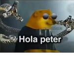 Doge y sus panas