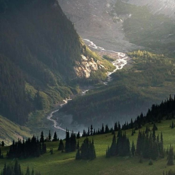 🌷 ~ Down in the Valley ~ 🌷