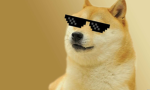 Doge YT Gang Supporters