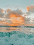 Lily_rose9684’s Group