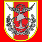 Türk Silahlı Kuvvetleri-