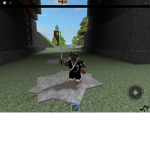 The Epic Ninja Foxes