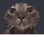 bruh studiostbh