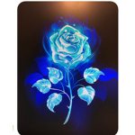 Blue rosy