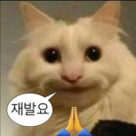 제작자의 친구들만 모인 그룹