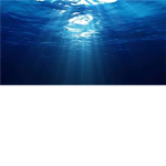 Ocean Reality Shows