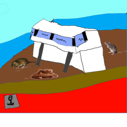 The SS. Rat