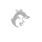 Pro Games Studio