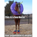Magic Horse