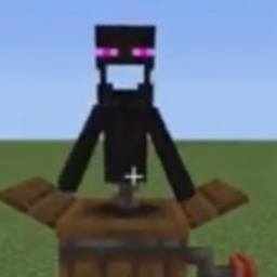 SURVIVE THE ENDER BOX
