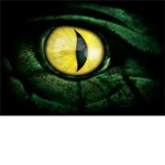 The Silver Serpent Clan