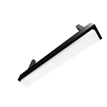 Roof light