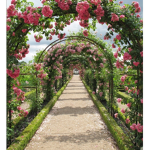 Garden of Roses~ Group