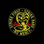 Cobra Kai Karate!!!