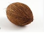 Coconut milk studios