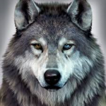 THE WOLFS OF DAWN