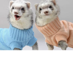 {~ Clothing for Ferrets ~}