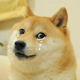 Save The Doge!