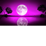 Purple{}Shadow