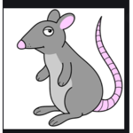 HANDSOME RATS