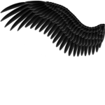 - Black Wings -