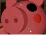 The piggy nation