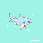 Shark_Buddies