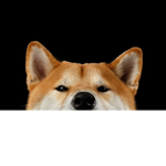 feetsniffers